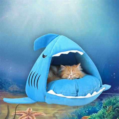 Take Care Of Your Cat The Right Way Cat Whisperer Cat Bed Cat