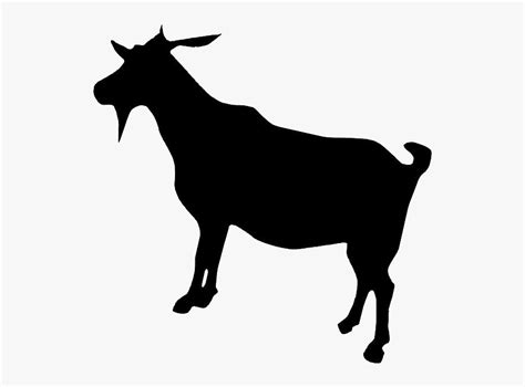 Boer Goat Dorper Cattle Transparent Goat Silhouette Free