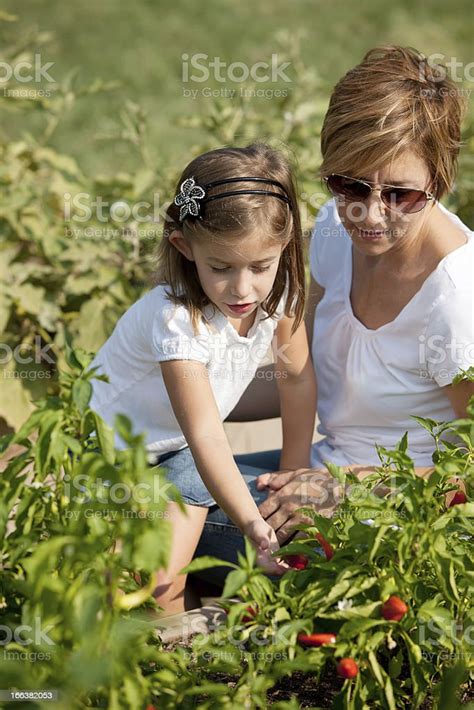 Healthy Lifestyle Mother Helping Daughter Little Girl Pick Homegrown