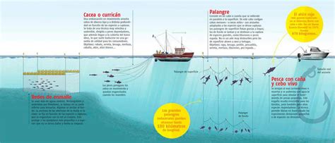 ¿son Peligrosas Las Prácticas De Pesca Actuales Muy Interesante