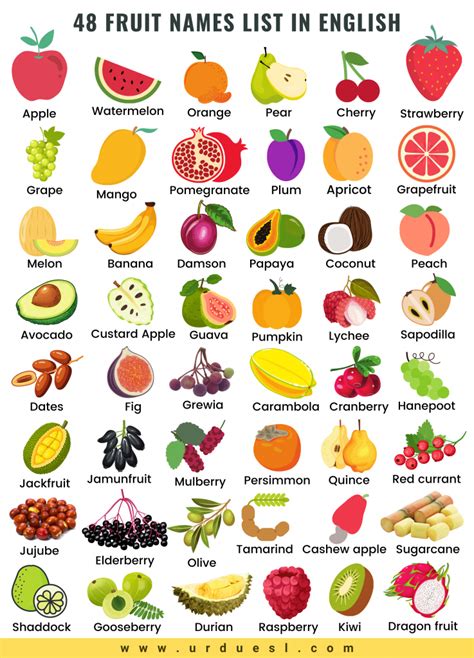 All Fruit Names List In English With Pictures Download Pdf