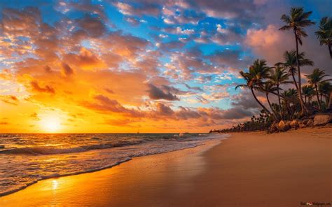 Palms And Waves On The Beach At Sunset 4k Wallpaper Download