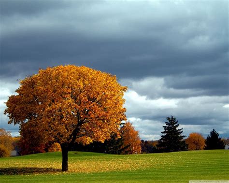 Apr 03, 2021 · all wallpapers are manually selected by professional designers and photographers to make each background look beautiful and amazing and belong to the gojo satoru. Awesome Desktop Wallpaper Hd Full Screen Nature | High ...