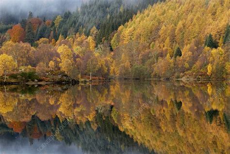 Reflections Of Autumn Colours In Loch Stock Image C0043216