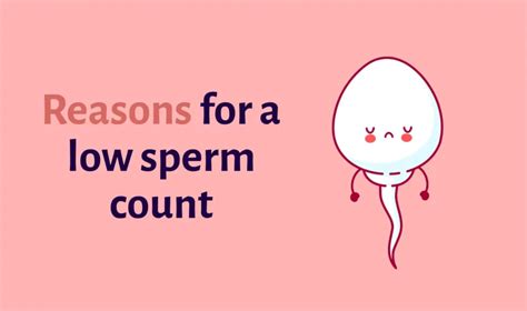 how to increase sperm count grace fertility