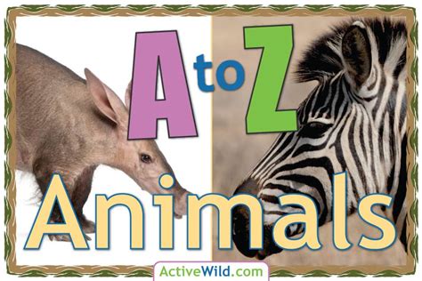 A To Z Animals List For Kids With Pictures And Facts Animal A Z Information