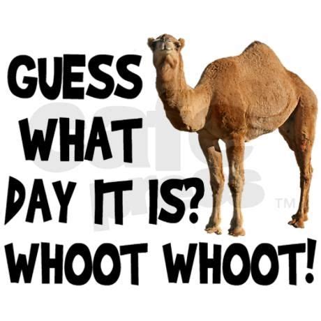 It is very versatile software which let users customize their images, and it is an image sharing website. hump day camel