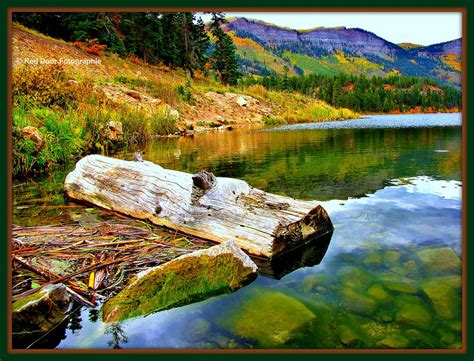 A Quiet Place To Rest Haviland Lake Southwest Colorado Flickr