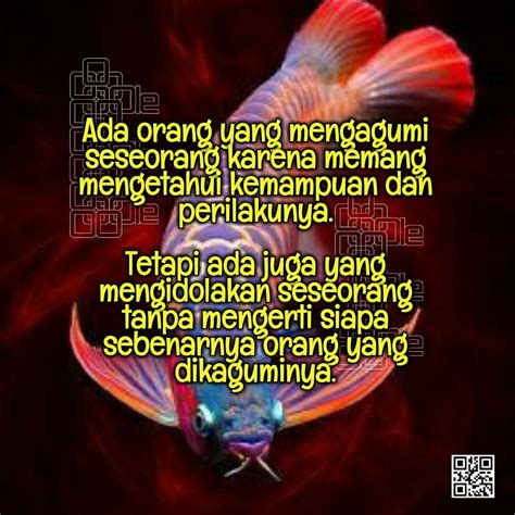 Aplikasi quote writer menjadi idola bagi para pecinta quotes. 25 Caption Buat Idola - Kata Bijak Kreatif