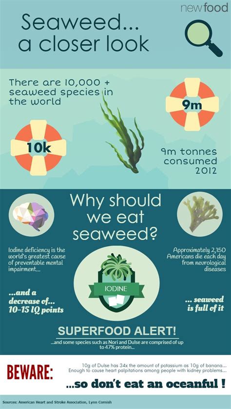 Edible Seaweed A Closer Look New Food Magazine