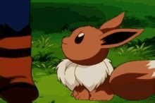 Jake's eevee eventually evolves into vaporeon , and is not altered by which starter pokémon the player has chosen, or how well the player's pokémon have. Eevee GIFs | Tenor