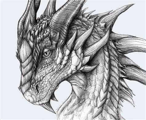 Cool Dragon Drawing Cool Dragon Sketches At