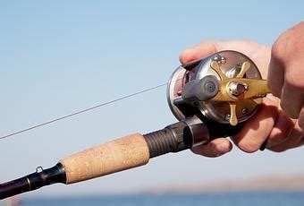 Best Baitcasting Reel Reviews Saltwater And Freshwaters Guide