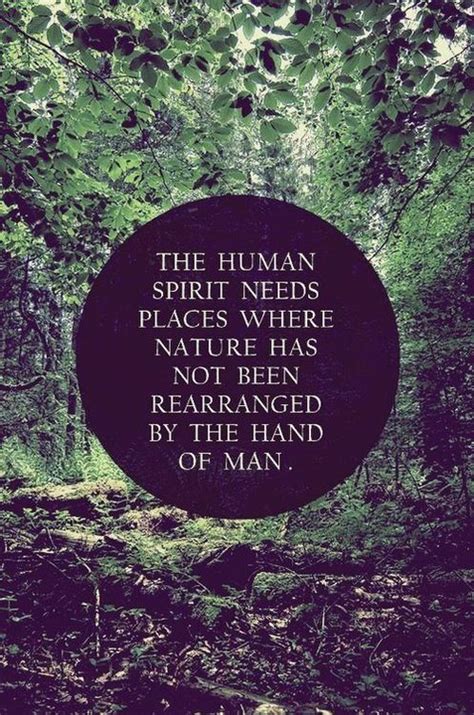 The Human Spirit Needs Places Where Nature Has Not Been Rearranged In