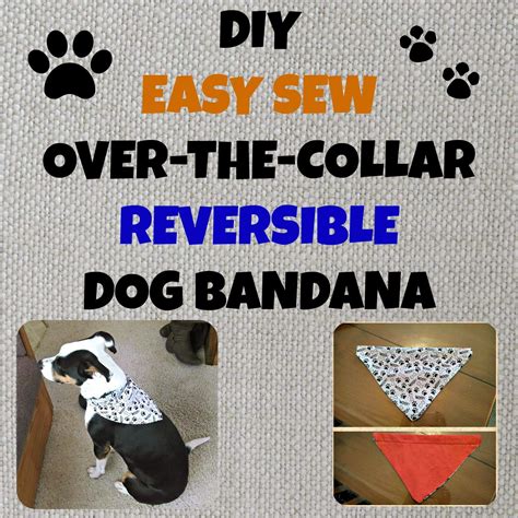 How To Make A Dog Collar Bandana 2021 Do Yourself Ideas