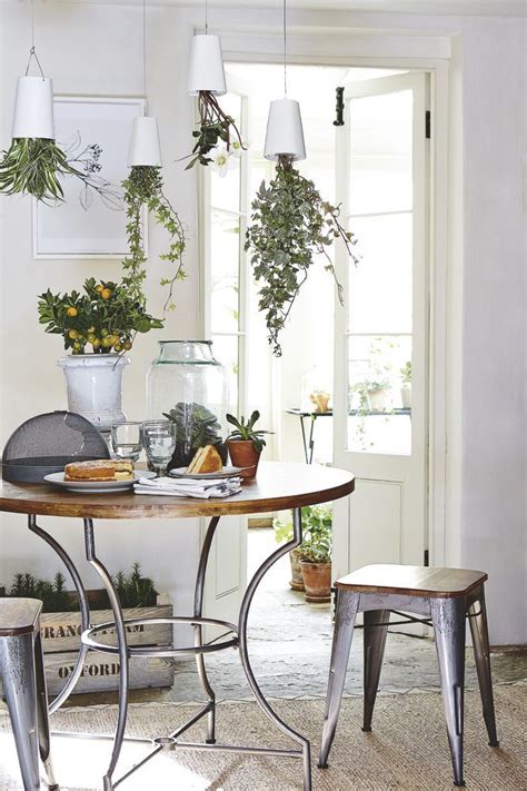 Black dining room contrasted with shiplap lower walls and white framed windows inviting natural light in. Hanging plants above a dining table is an innovative way ...