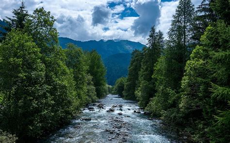 Mountain River Forest Mountain Landscape Summer Beautiful River