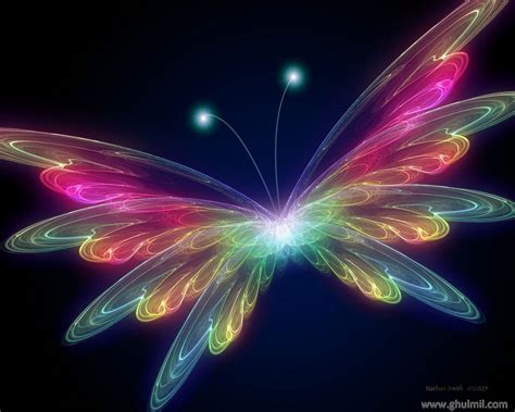 Most Beautiful Butterflies Wallpaper My Image