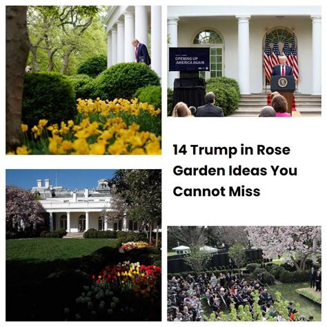14 Trump In Rose Garden Ideas You Cannot Miss SharonSable