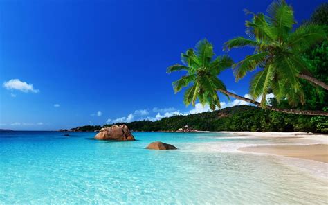 Jamaica Wallpapers - Top Free Jamaica Backgrounds - WallpaperAccess