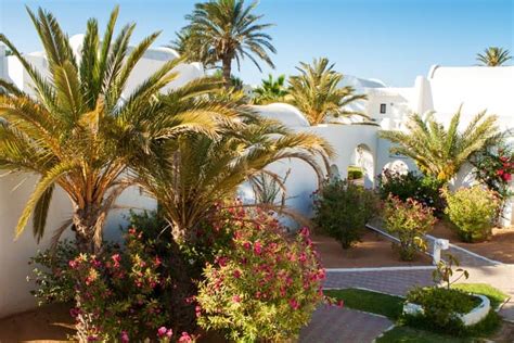 Jardines Mediterráneos Características Y Consejos Greencut