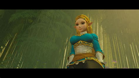 Sifu Hyrule Warriors Zelda Botw Mod Sifu Mods