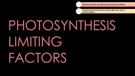 Photosynthesis Limiting Factors Gcse Biology Youtube