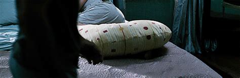 The source of this problem is tumblr.com. Stan´s epic pillow fight! | Alex O´Loughlin ~ An Intense Study