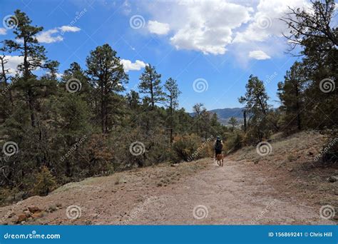 Gila National Forest Hike Stock Image Image Of Overcast 156869241