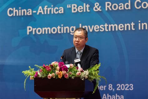 African Union Chinese Mission Vow To Deepen Belt And Road Cooperation