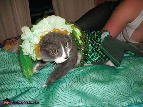 Little Mermaid Cat Costume Photo 44