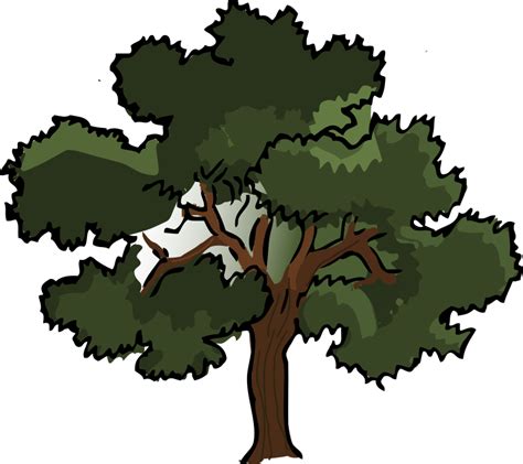 Cartoon Oak Tree Free Download Clip Art Free Clip Art On
