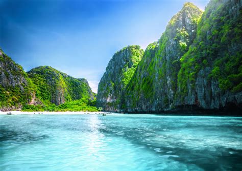Maya Bay From The Movie The Beach Reopens