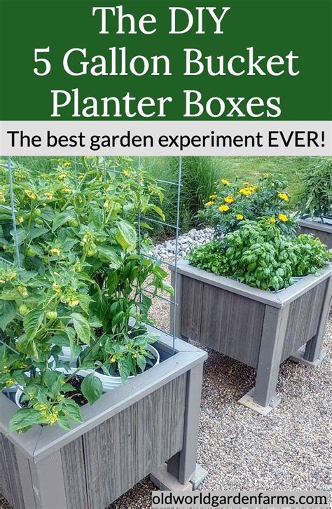 Usp premium 5 gallon bucket. The DIY 5 Gallon Bucket Planter Box - The Best Garden ...