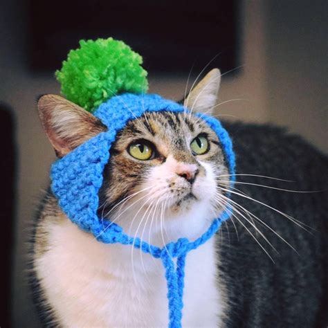 Cat Hat With Pom Pom Cat Hats Hats For Cats Cat Clothes Etsy