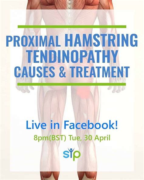 In This Livestream I Ll Discuss What Causes Proximal Hamstring Tendinopathy And What Treatments