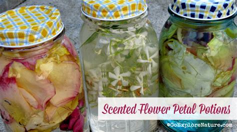 Check spelling or type a new query. We've been spending a lot of time looking at flowers ...