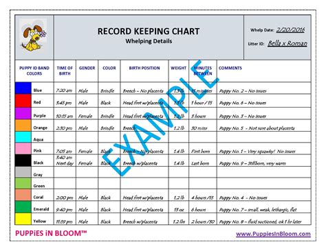 Record Keeping Charts For Breeders With 8 Inch Puppy Litter Collars