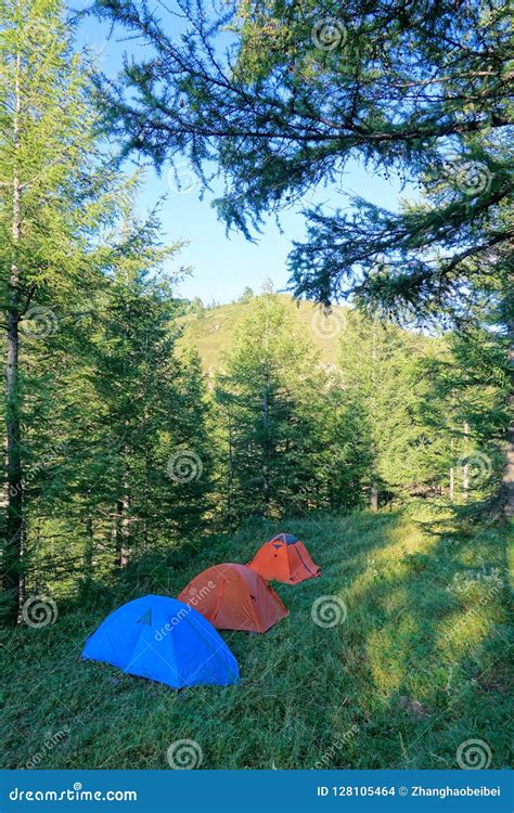 Campground Stock Photo Image Of Tent Praetorium Scenery 128105464