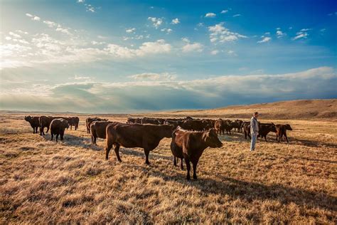 Agriculture Photography By Todd Klassy Montana Blog 20 Photos Of