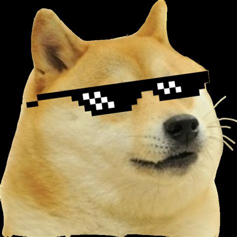 1080 X 1080 Doge 200 Luxury Doge 1080x1080 For You Left Of The Hudson 1080 Dogecoin Doge