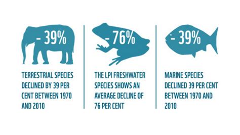 Global Wildlife Populations Have Fallen By Half — A Stat