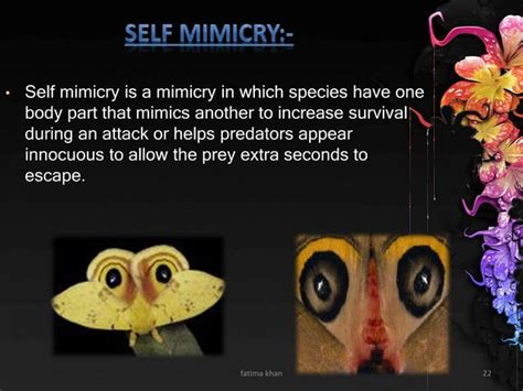 Mimicry Ppt