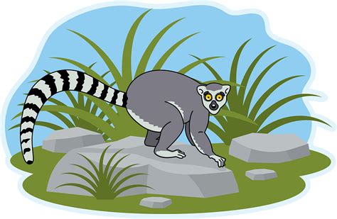 Lemur Clipart Free Download Transparent Png Creazilla
