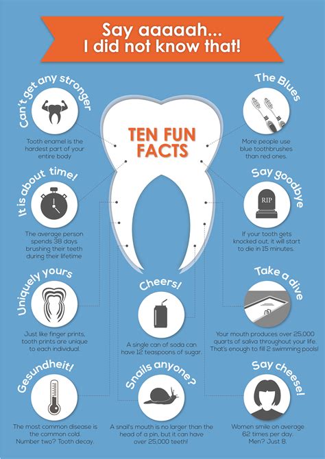 10-fun-facts-about-your-teeth-infographic-encore-dental