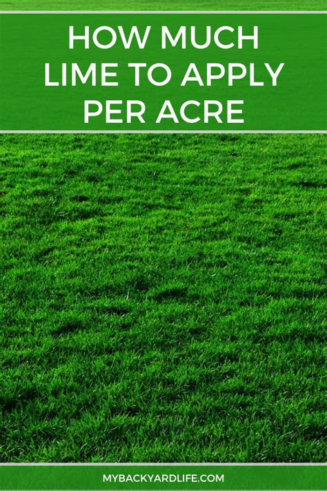 Also, in your question, you did not let me know if you were applying to the lawn, fertilizing roses, trees or container plants, so we will have to provide more of an overview. How Much Lime to Apply Per Acre (And When to Apply It ...