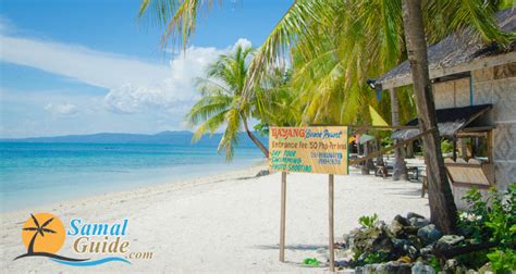 Dayang Beach Resort 2024 Samal Guide