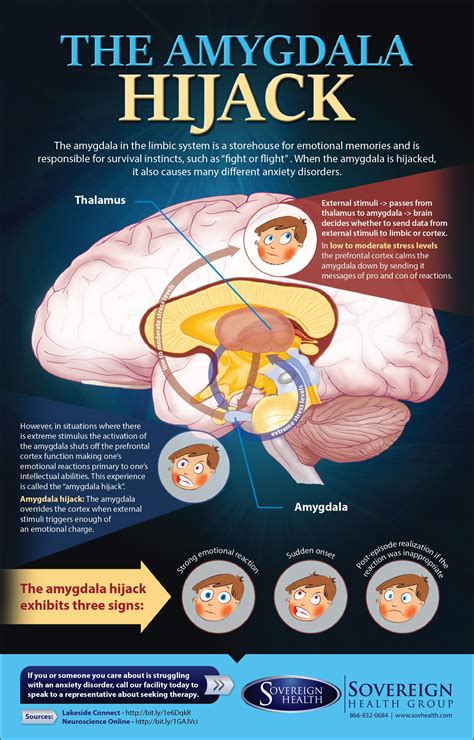 Infographic Mental Help