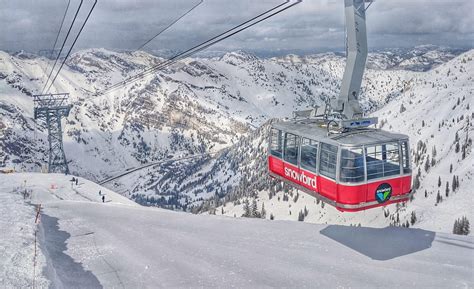 Snowbird Go Ski Tours