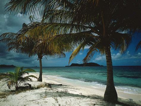 Tropical Island Wallpaper Screensavers Wallpapersafari